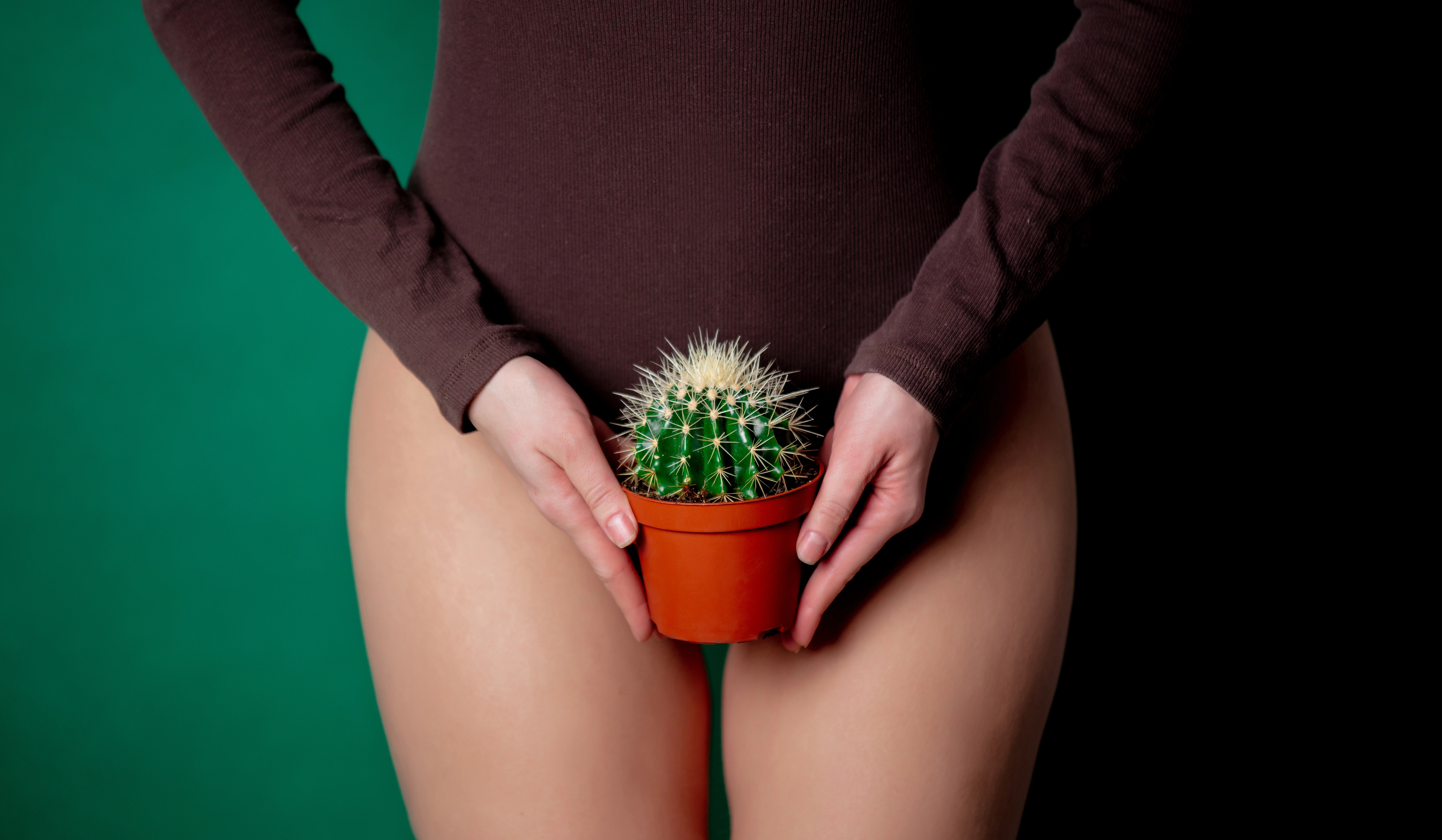 Todo lo que necesitas saber sobre la sequedad vaginal